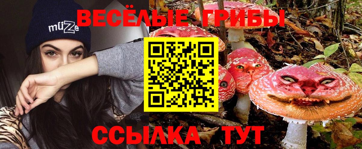 Псилоцибиновые грибы MAGIC MUSHROOMS Камень-на-Оби