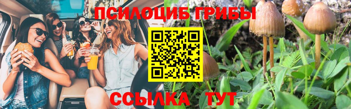 Псилоцибиновые грибы мухоморы  Галлюциногенные грибы Cubensis  Камень-на-Оби  Вход с VPN 